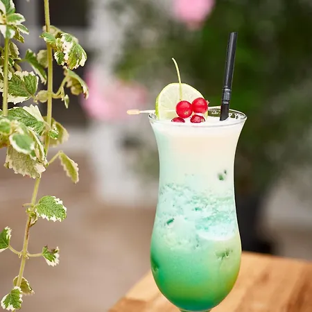 Carol Park View Otel 3*