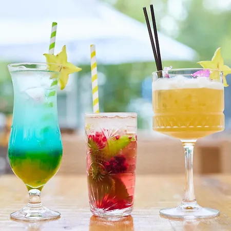 Hotel Carol Park View