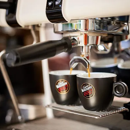 Carol Park View מלון