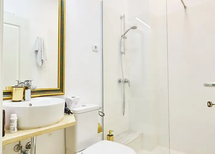 Hotel Carol Park View 3*