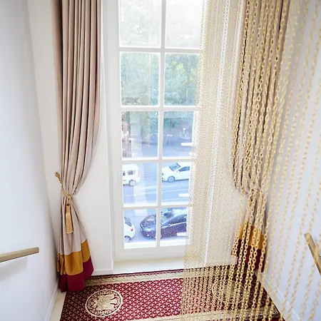 Hotel Carol Park View 3*