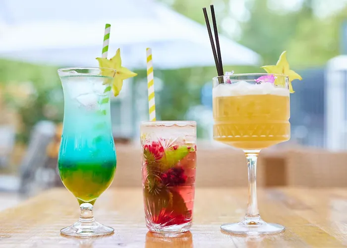 Hotel Carol Park View